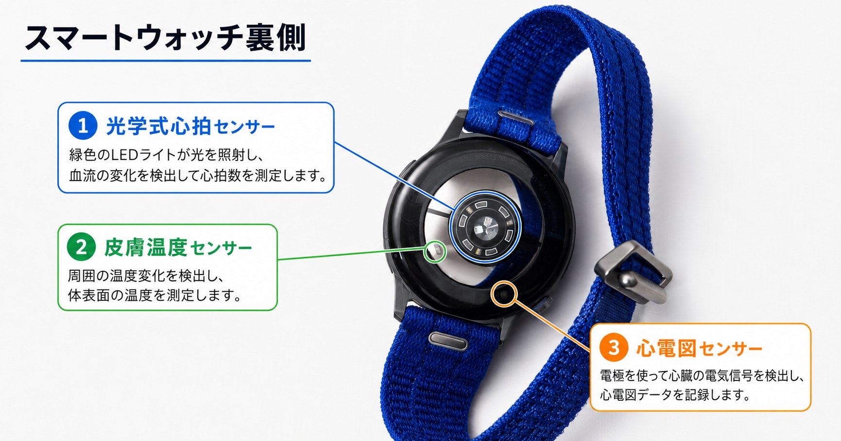 裏蓋には光学式心拍・皮膚温度・心電図の3センサーを搭載
