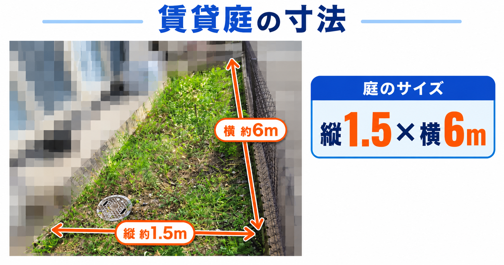 雑草が茂った庭。広さは約1.5m×6m